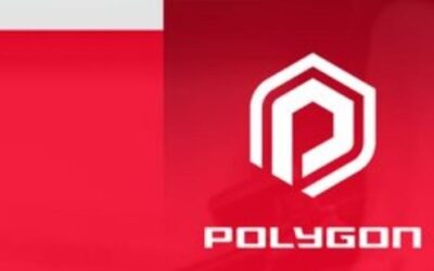 HR Academy Team Leader – Polygon Group
