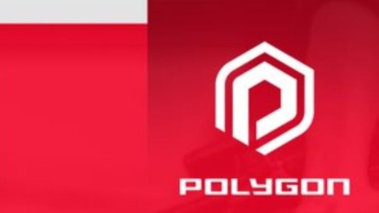 HR Academy Team Leader – Polygon Group