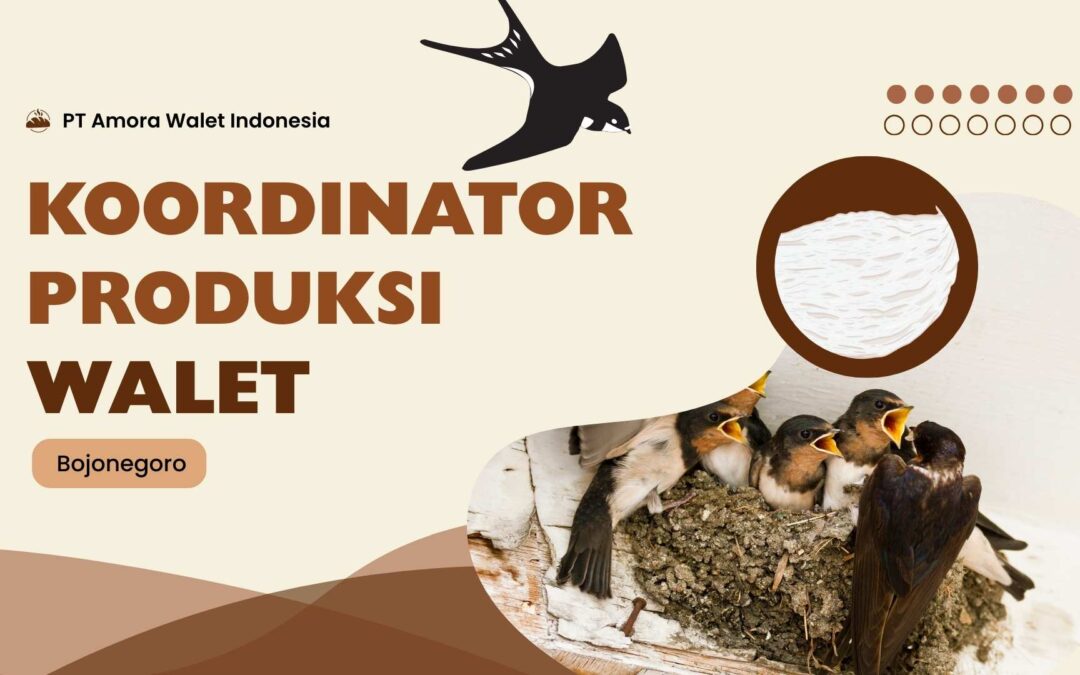 Koordinator Produksi Walet – PT Amora Walet Indonesia – Bojonegoro